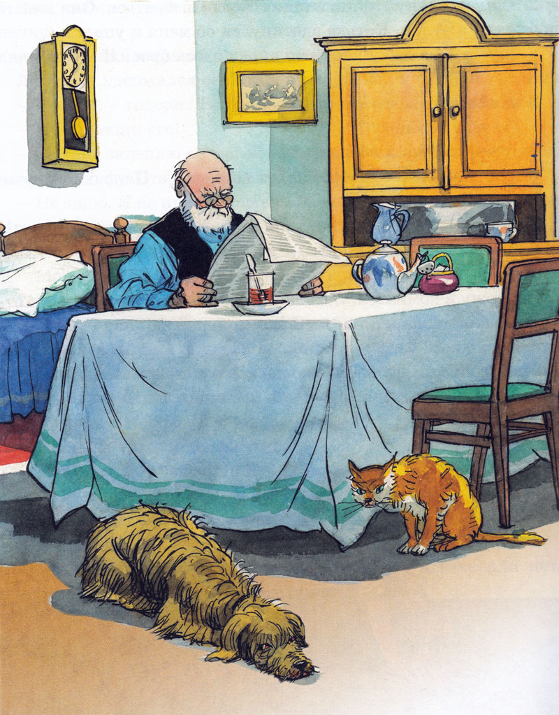 Бобик в гостях у Барбоса