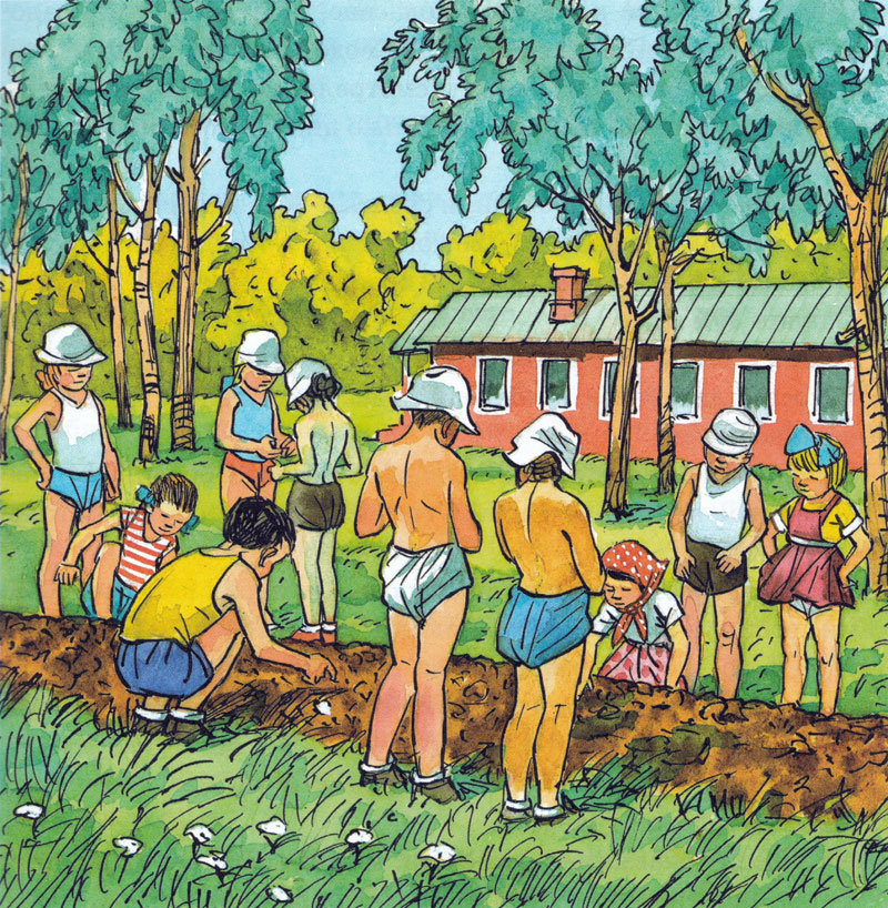 Дети сажают семена