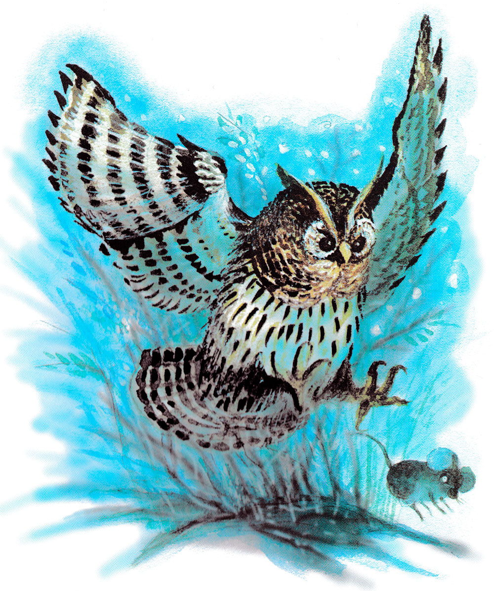 Сова ловит мышонка