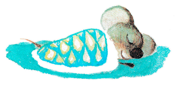 Мышонок спит