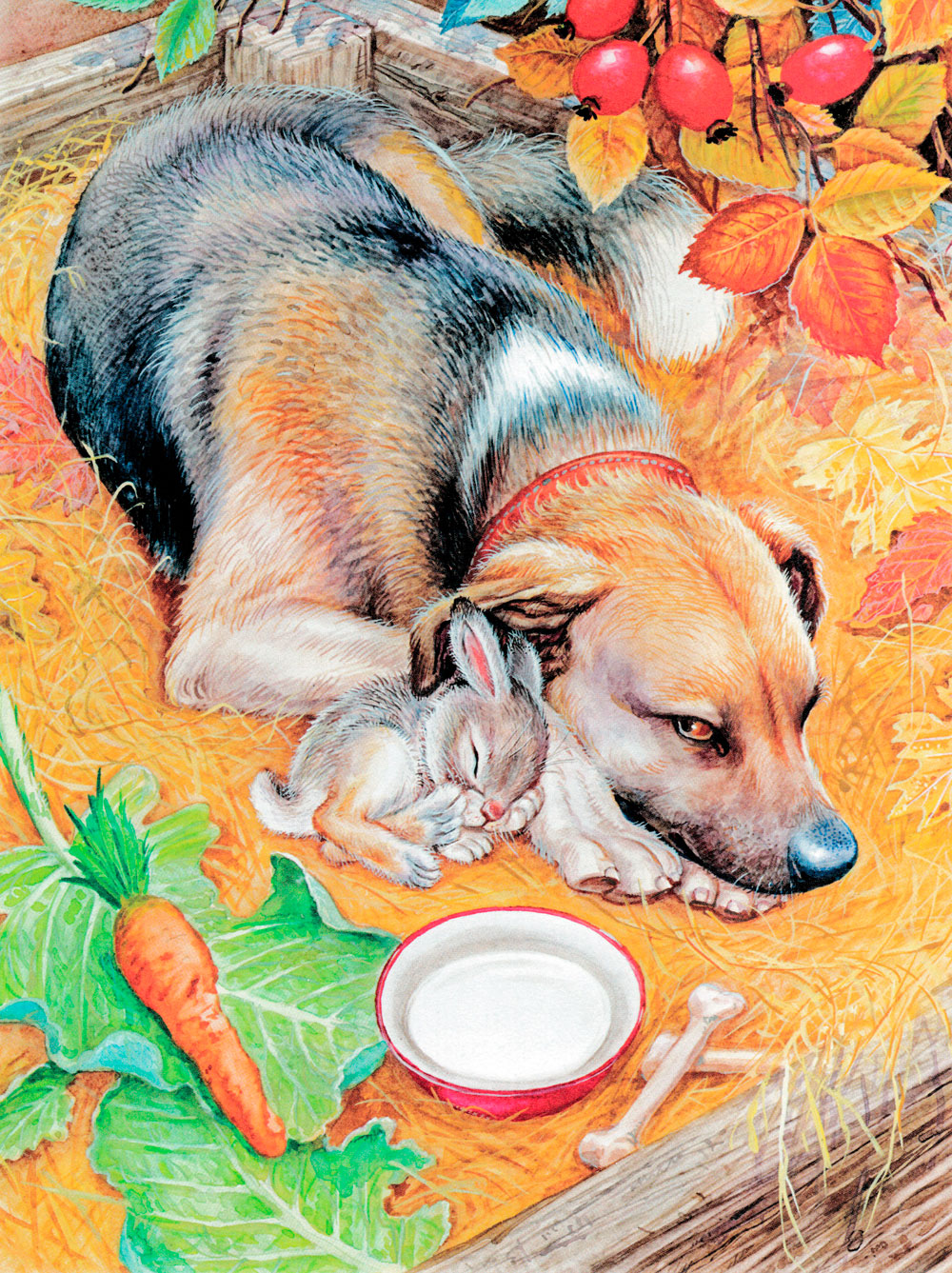 Зайчонок спит рядом с собакой