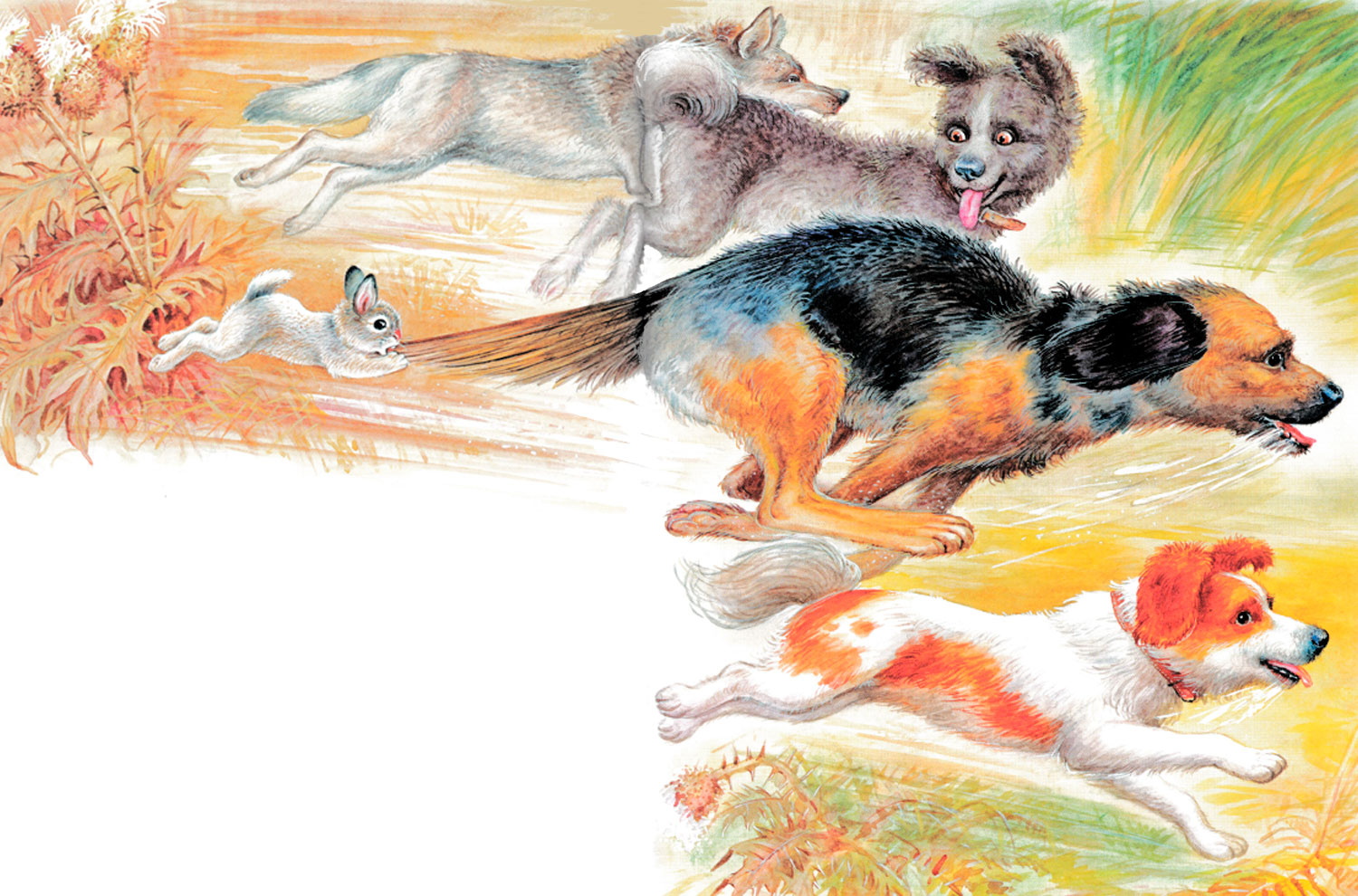 Собаки убегают от зайца