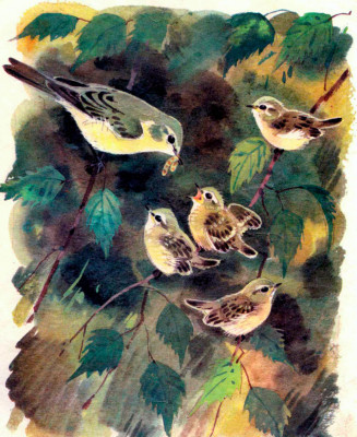 Рассказ Подкидыш