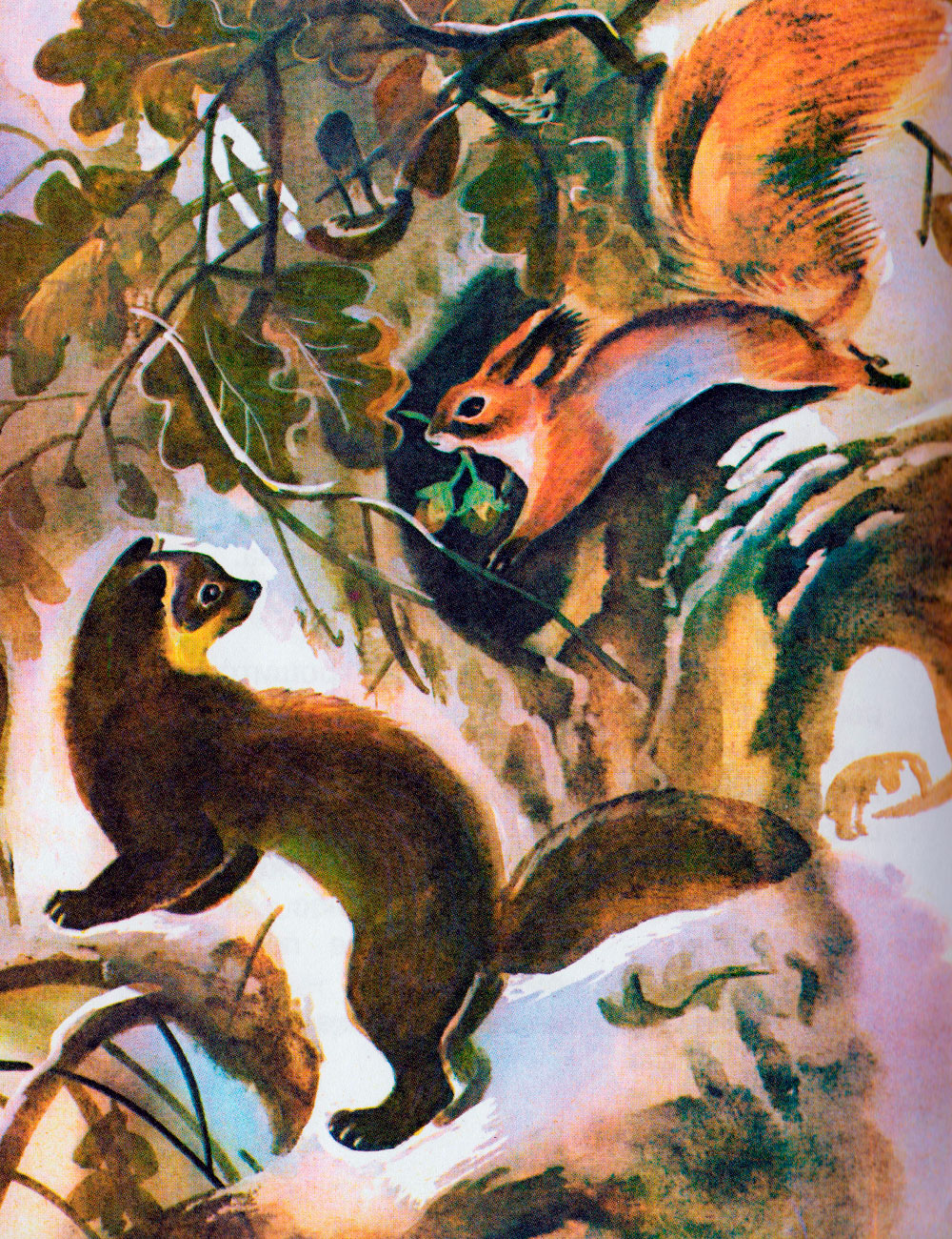 Куница и белка