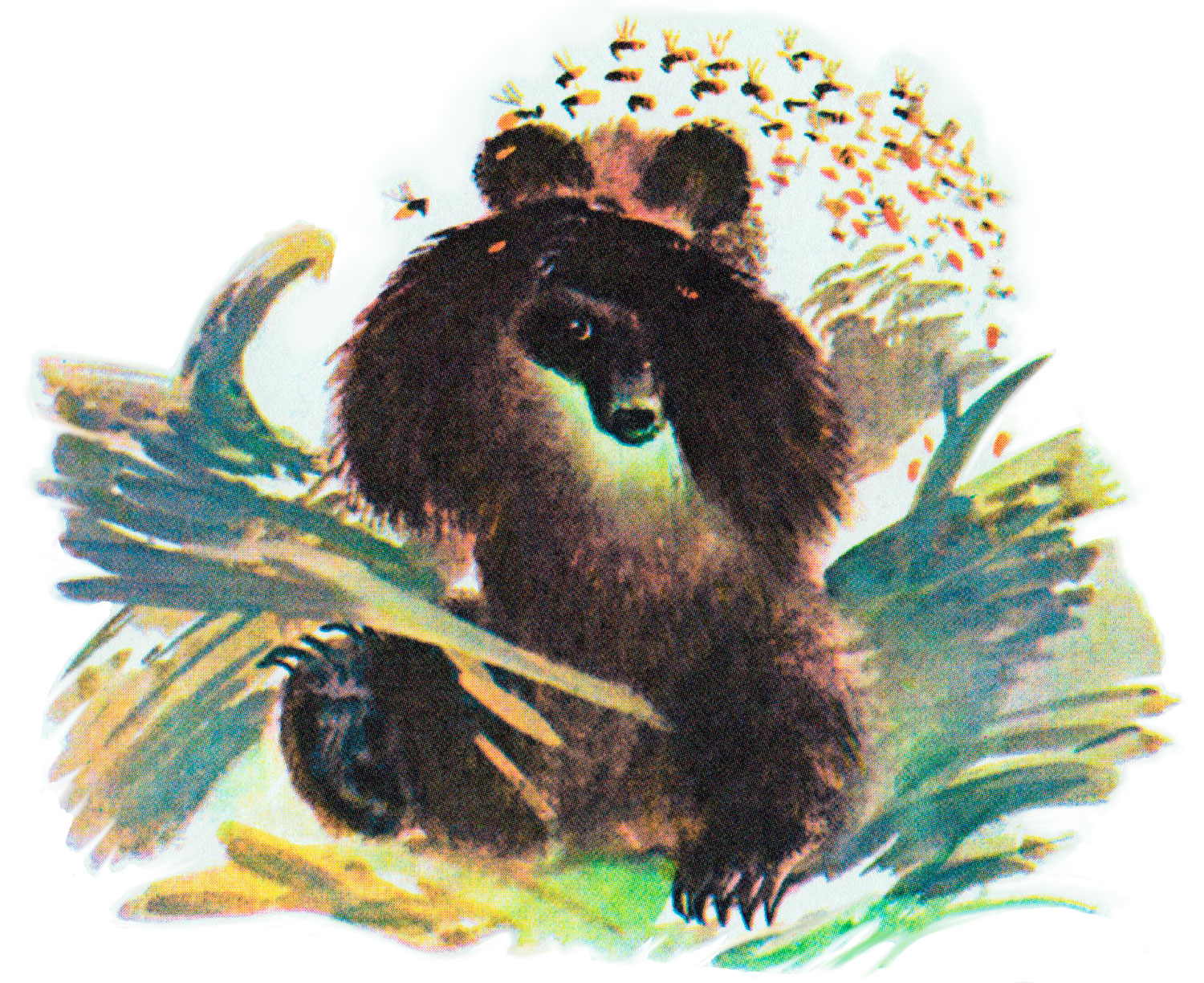 Медведь и челы