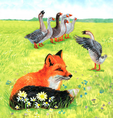 Лиса и гуси