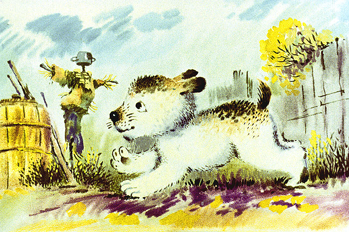 Щенок бежит