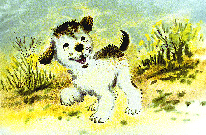 Веселый щенок