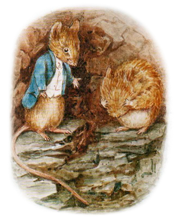 Полевой мышонок огорчен