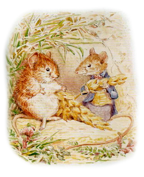 Мышата беседуют у пшеницы