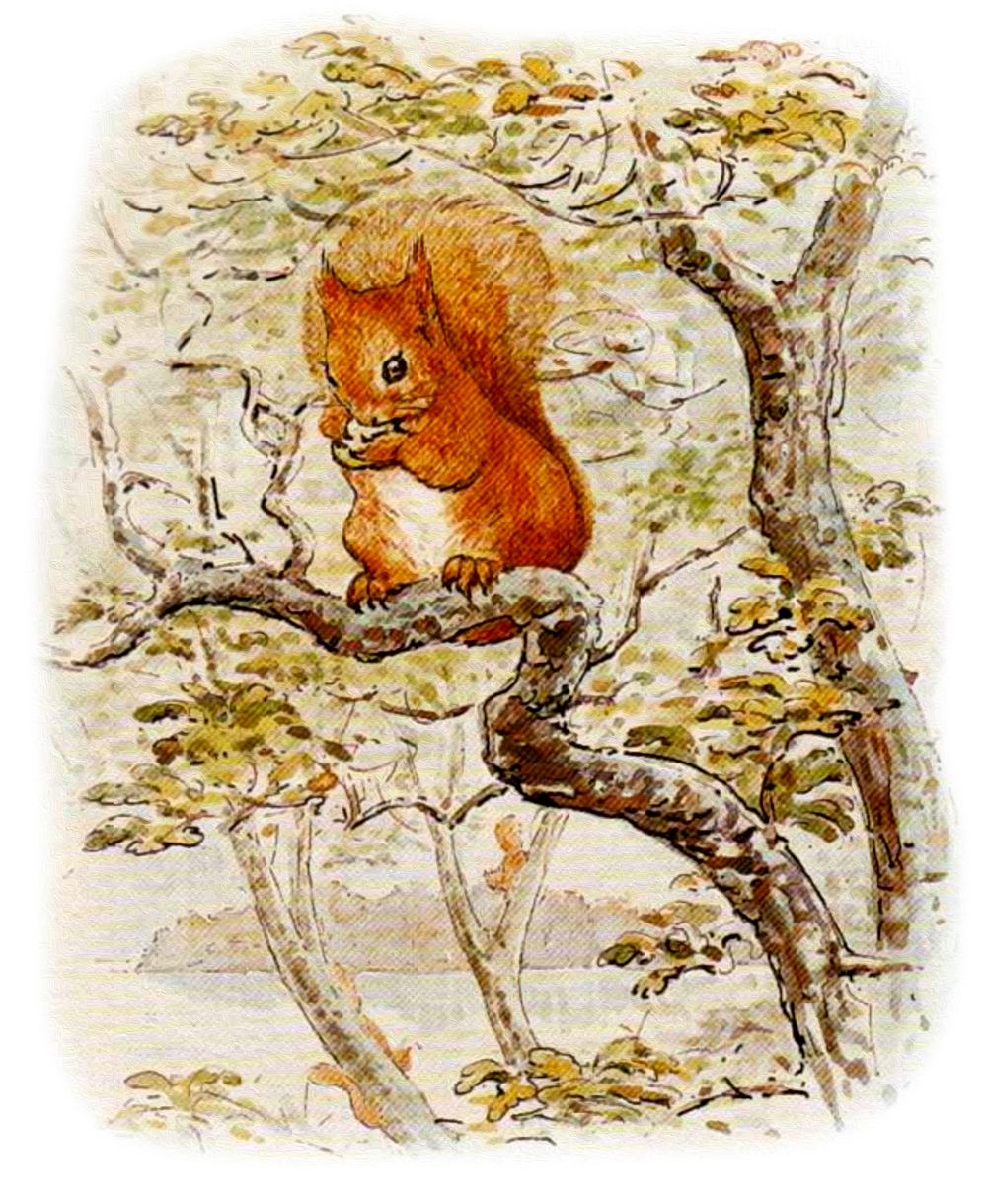 Рыжий бельчонок