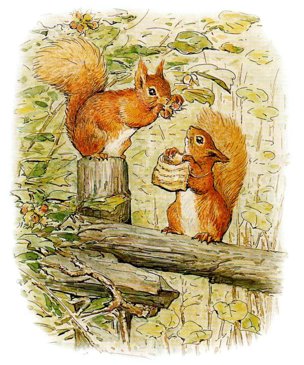 Два маленьких бельчонка