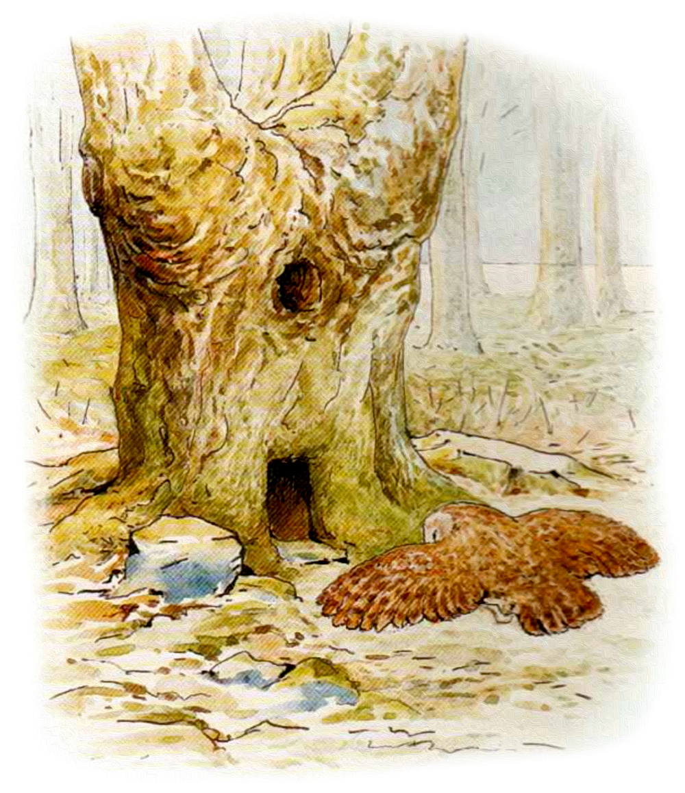 Филин у дерева