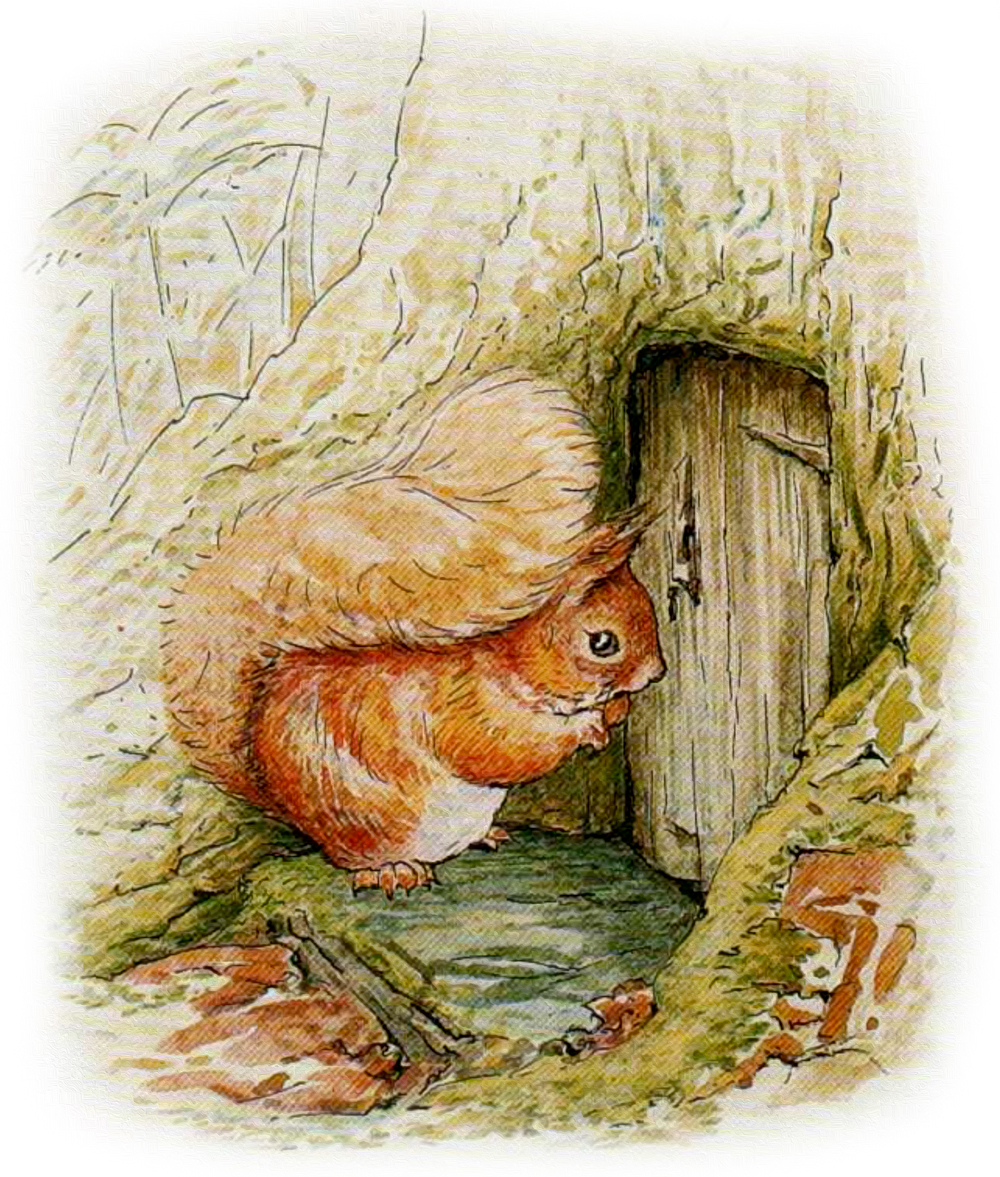 Бельчонок у закрытой двери