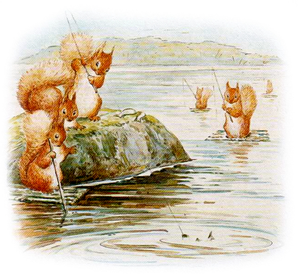 Белки на рыбалке