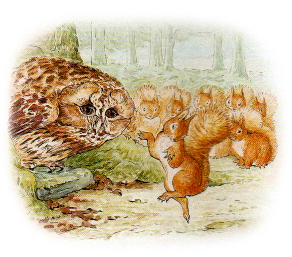 Бельчонок прыгает перед Филином