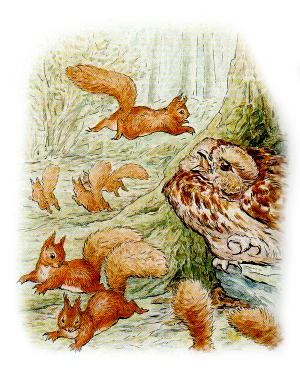 Бельчата разбежались в разные стороны