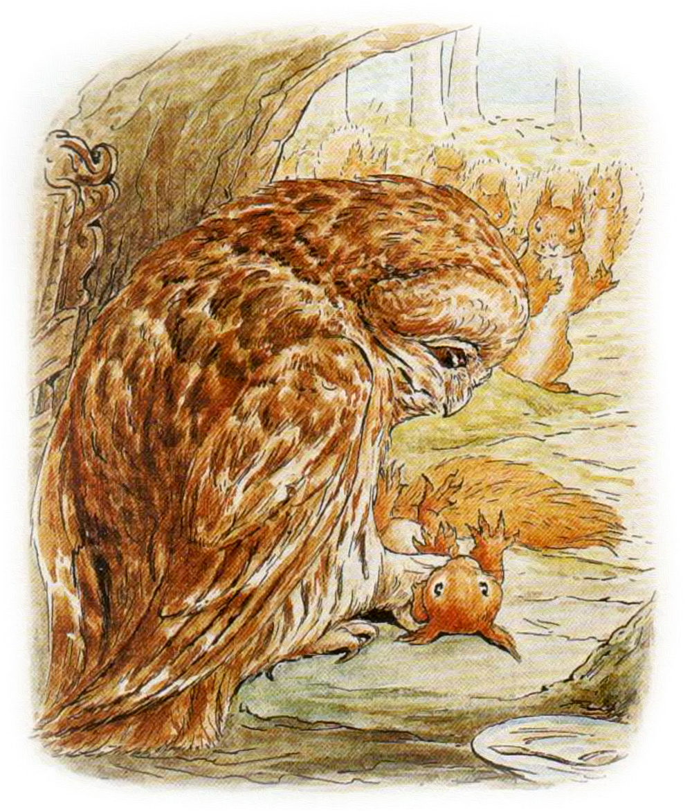 Филин держит бельчонка