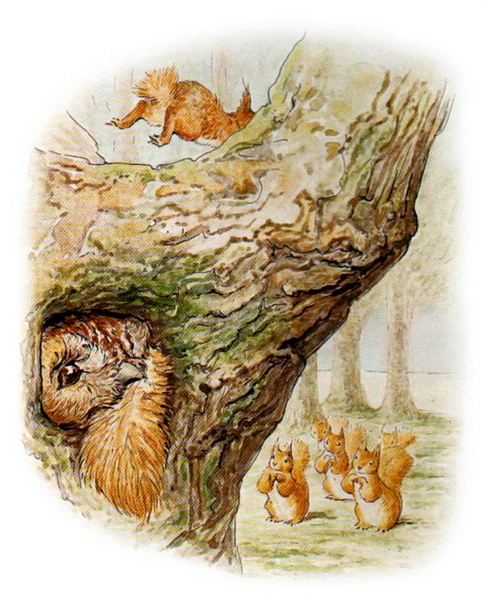 Бельчонок убегает от Филина