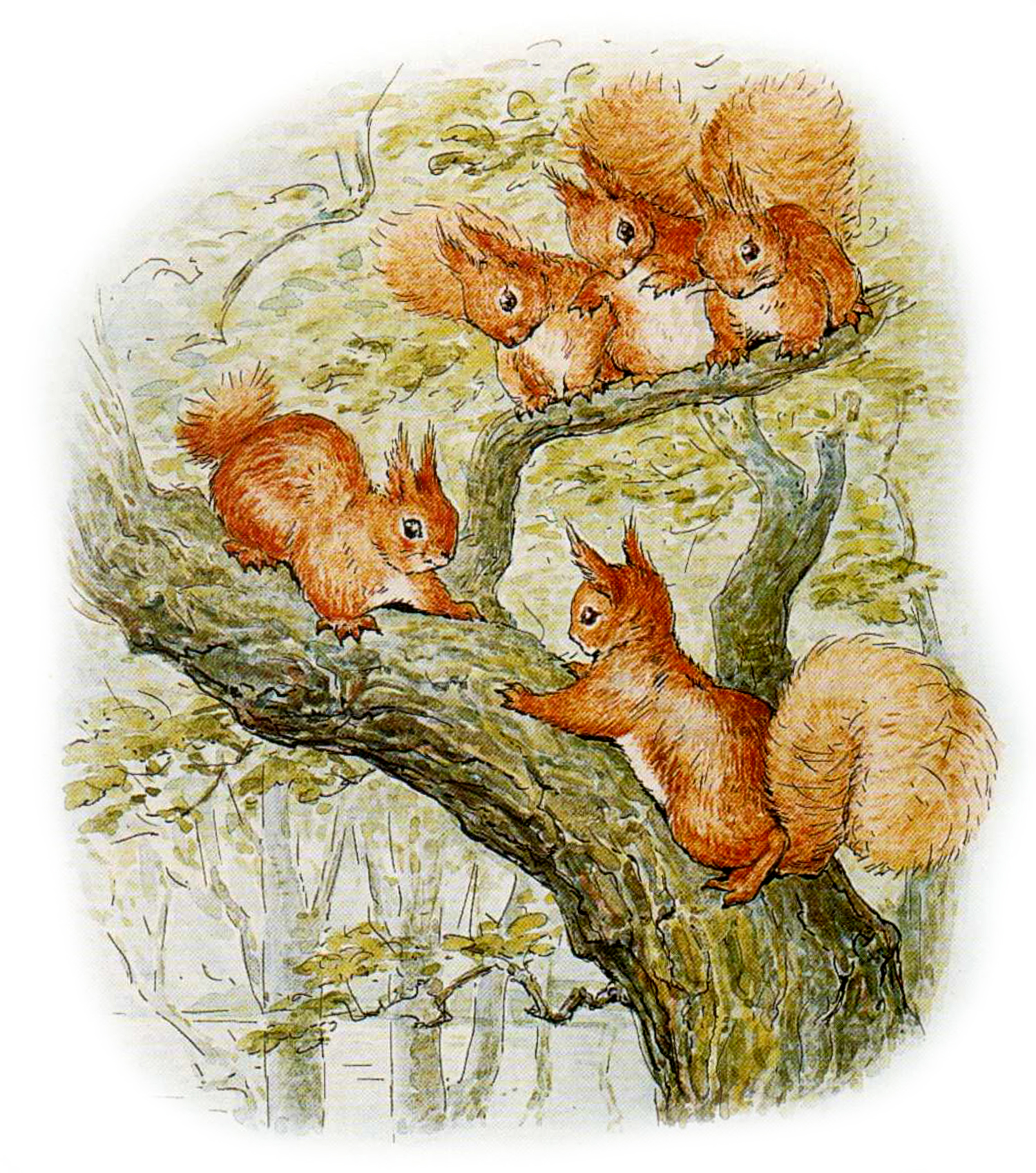 Бельчата на ветке