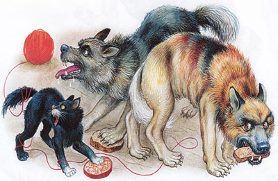 Собаки и кот