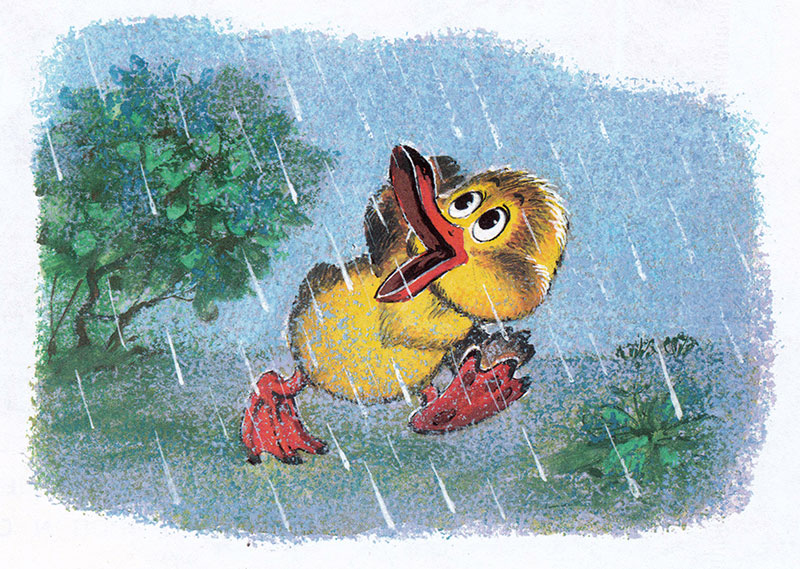 Утенок под дождем