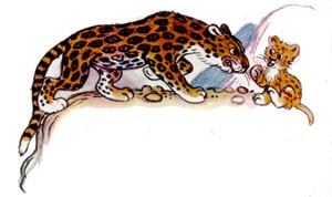 Львенок и ягуар