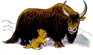 Львенок и як