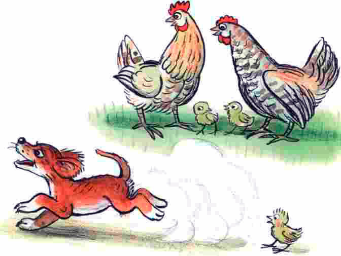 Щенок бегает по двору