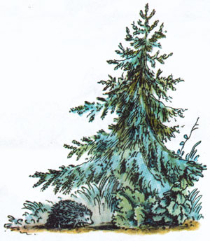 Еж и елка
