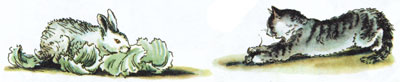 Заяц и кошка