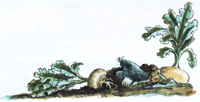 Крот вылез из земли