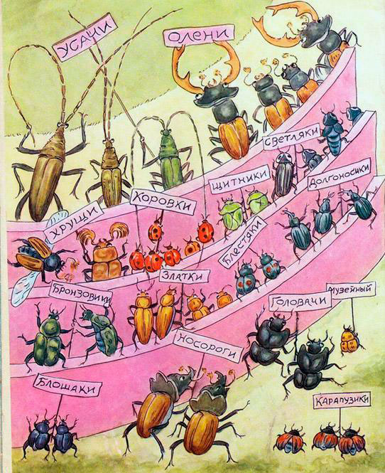 Жуки на стадионе