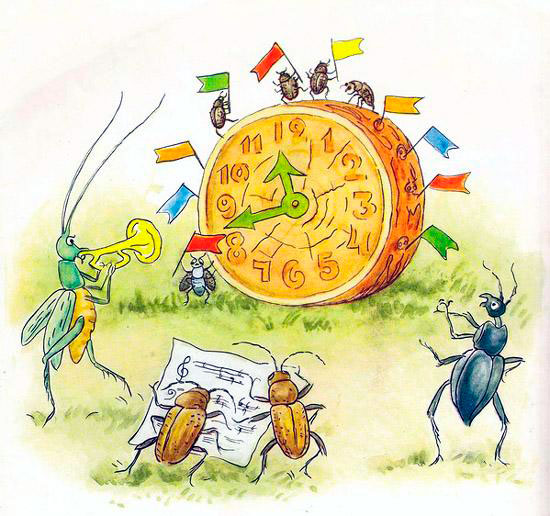 Жуки на соревнованиях