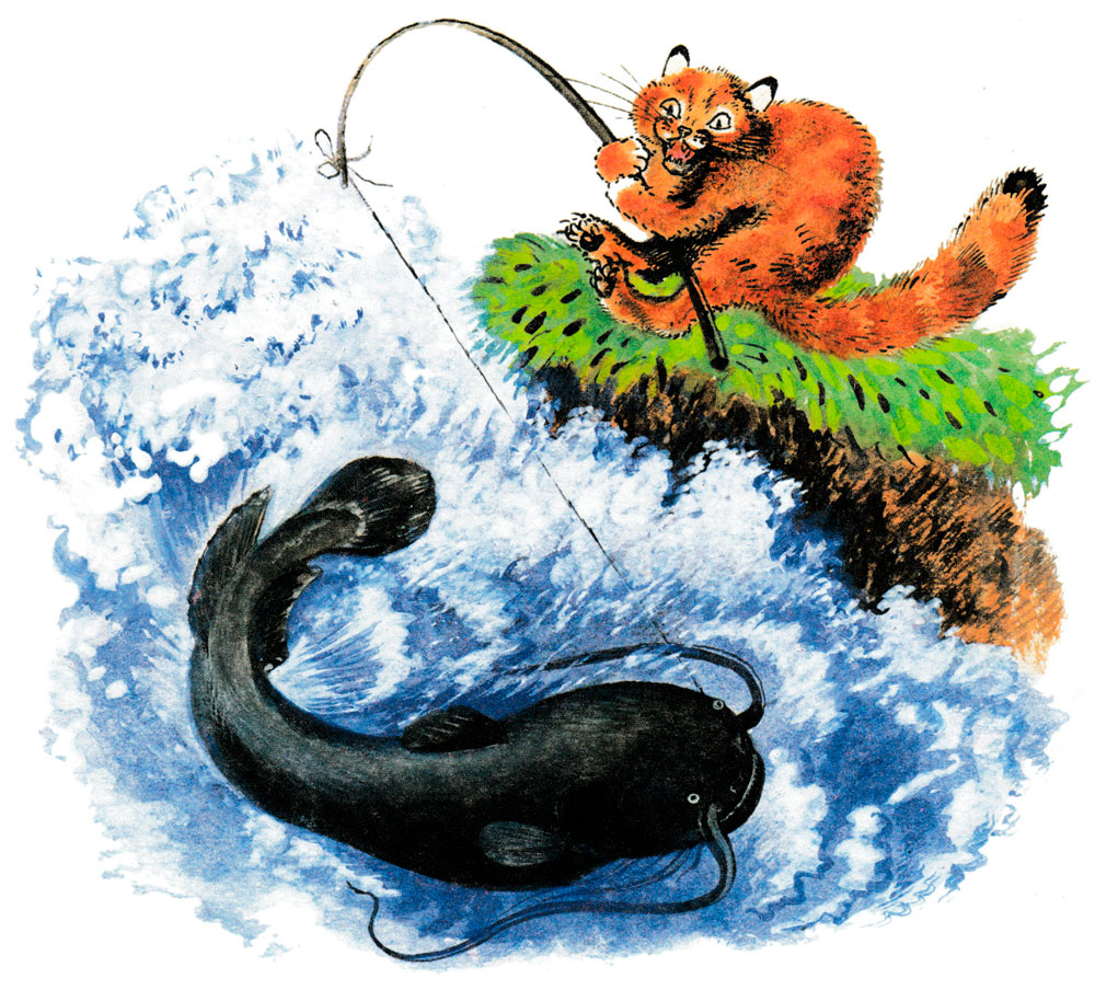 Кот ловит сома на удочку