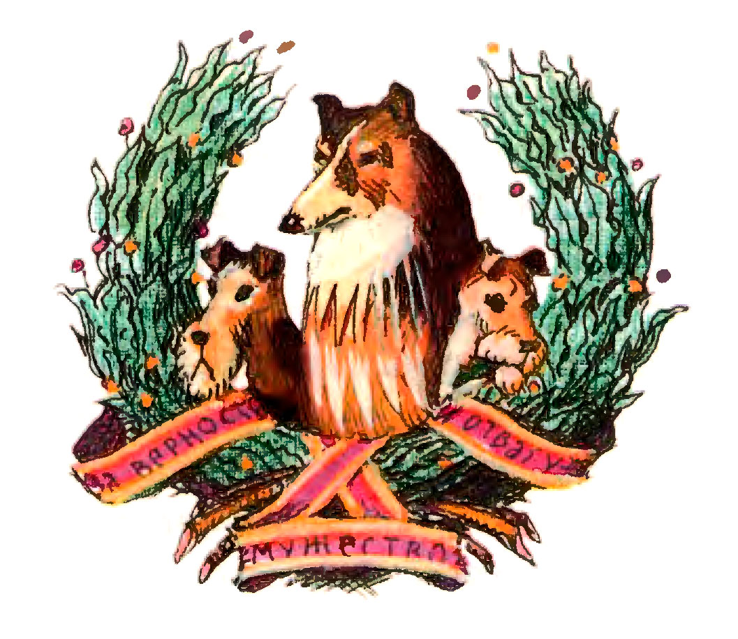 Семья колли