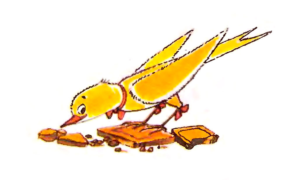 Джуди клюет шоколад