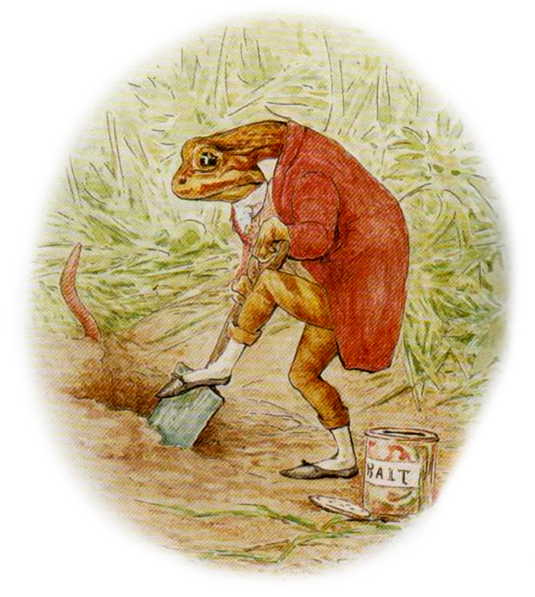 Лягушонок копает ямку