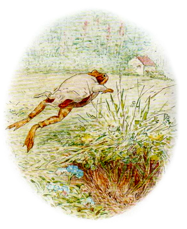 Лягушонок прыгает домой