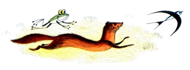 Хорек, лягушка и ласточка