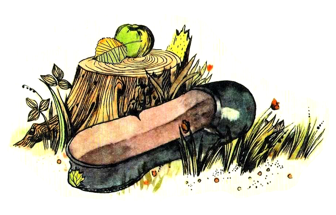 Галоша у пня