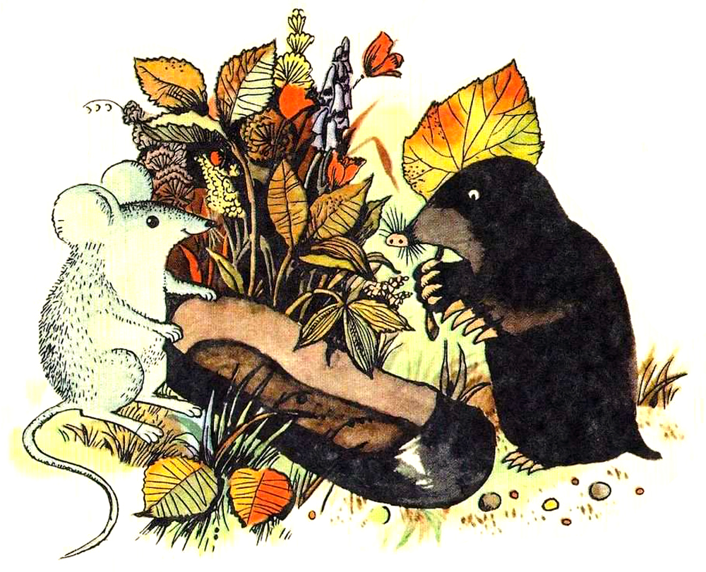 Мышка, крот и галоша