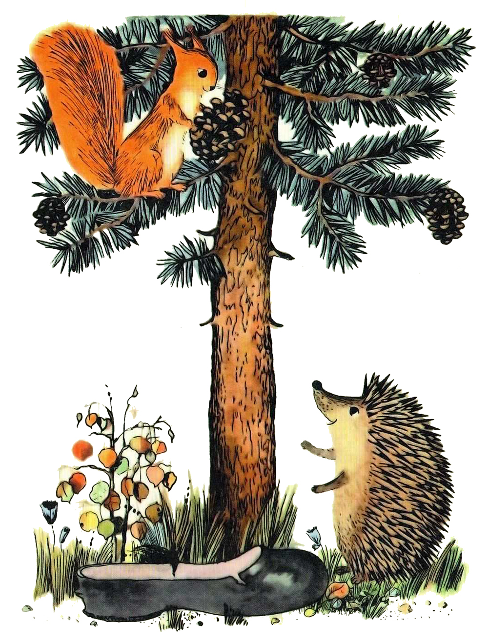 Белка на дереве смотрит на ежиху с галошей