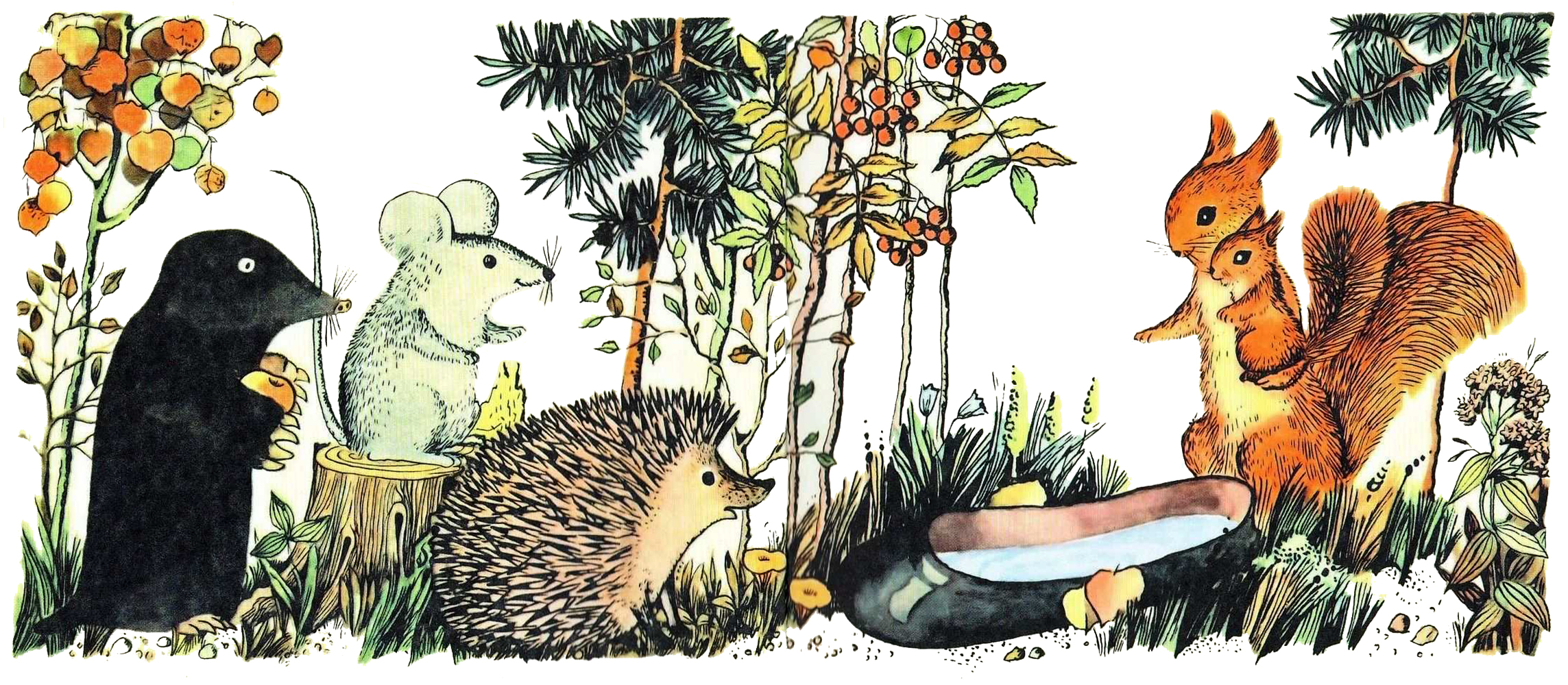 Звери стоят у галоши