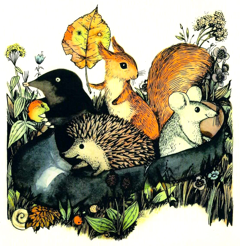 Зверята в галоше