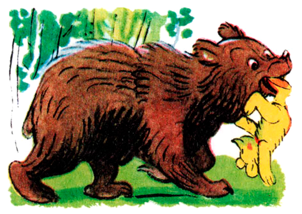 Медведица несет мишку