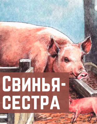 Свинья-сестра
