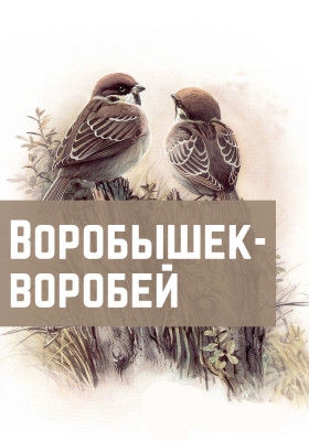 Воробышек-воробей