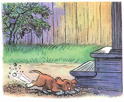 Кто сказал мяу - фото 9