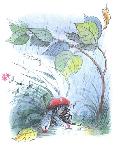 Сказка под грибом, фото 3